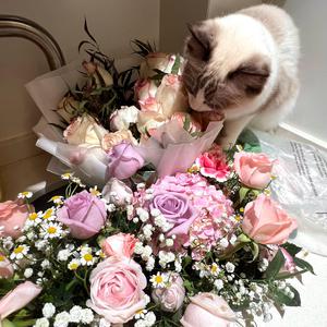 领导扒开我奶罩吸我奶头视频视频
